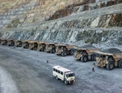 Realisasi Bea Keluar Provinsi NTB hingga April Dilaporkan Rp1,4 Triliun