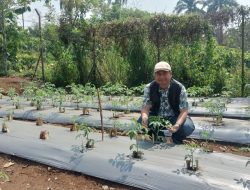 HSI Dorong Pemerintah Serius pada Kebijakan yang Berpihak pada Petani