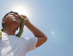 Peringatan BMKG, Dampak Suhu Panas Maksimum Harian Capai 37-38,4 Derajat Celsius