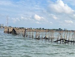 Petani Akan Ambil Langkah Hukum pada Pihak yang terlibat Pembangunan Pagar Laut di Pesisir Tangerang