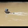 Demi Tugas Negara, Penghulu di Pasaman Rela Menyebrangi Sungai untuk Menikahkan Pasangan
